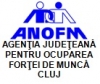 AJOFM Cluj