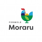 Fermele MORARU